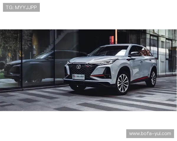 暴风围棋直播:巅峰对决,棋坛风云再起 暴风围棋直播:巅峰对决,棋坛风云再起